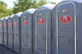 Best Standard Portable Toilet Rental  in Annandale, MN